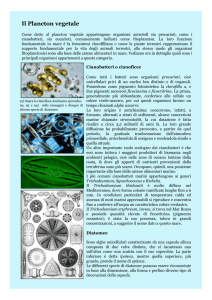 dispense definitive vere Gen nuove - Area Marina Protetta di Portofino