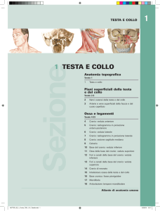 indice del testo - Libreria Universo