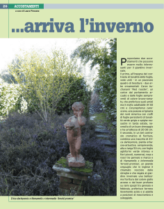 accostamenti - Giardini in Viaggio