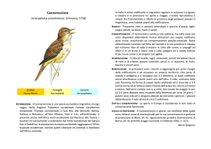 Cannareccione