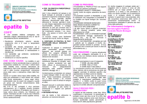 epatite b epatite b