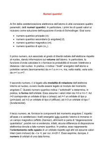 Numeri quantici Ai fini della caratterizzazione elettronica dell`atomo