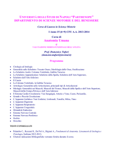 Anatomia Umana e Valutazione Morfofunzionale(A-E)