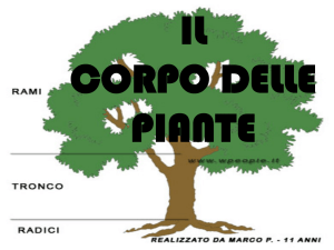 PIANTE: Struttura e funzioni