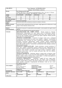 Corso Integrato: ANTROPOLOGIA Modulo: ANATOMIA UMANA 3 0