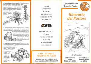 Itinerario del Pastore - montagna pistoiese trekking