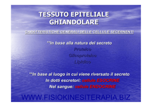 localizzazione delle cellule secernenti