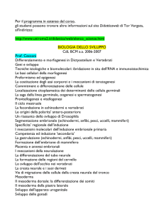 biologia dello sviluppo