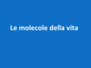 a2 le macromolecole