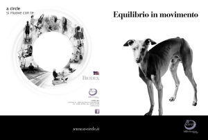 Equilibrio in movimento