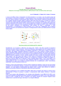 Acqua attivata