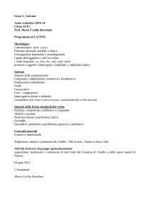 Programma Latino