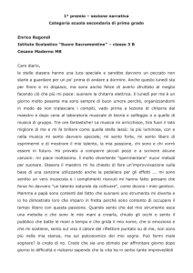 Categoria scuola secondaria di primo grado