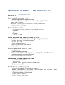 Liceo Scientifico “G. B. Benedetti” anno scolastico 2009/ 2010