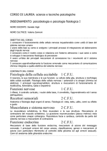 Fisiologia della cellula eccitabile 1 CFU Funzioni