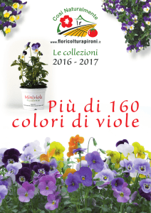 Le collezioni - Floricoltura Pironi