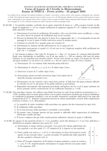 Testo
