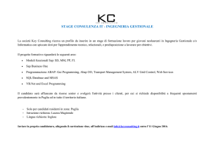 STAGE CONSULENZA IT - INGEGNERIA GESTIONALE
