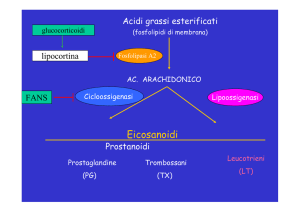 Eicosanoidi - Fisiokinesiterapia