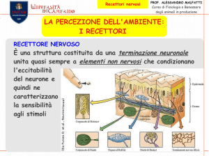 LA PERCEZIONE DELL`AMBIENTE: I RECETTORI