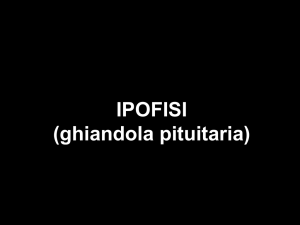 LAB 05 Ipofisi