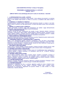LICEO SCIENTIFICO STATALE “A. Meucci” Ronciglione