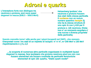 Adroni e quarks L`interazione forte non distingue tra neutrone e