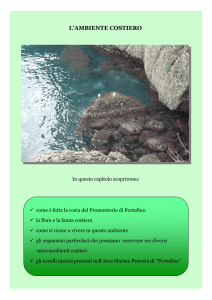 La costa del Promontorio di Portofino