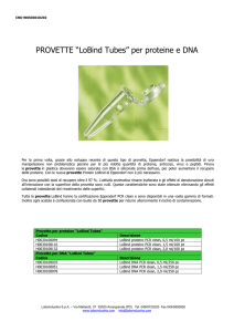 PROVETTE “LoBind Tubes” per proteine e DNA