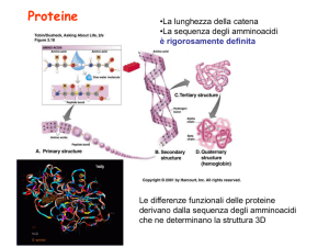 diapo proteine