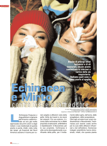 Echinacea e Mirto Echinacea e Mirto