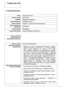 curriculum vitae