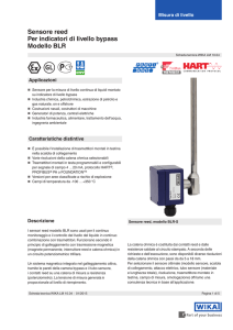 Sensore reed Per indicatori di livello bypass Modello BLR