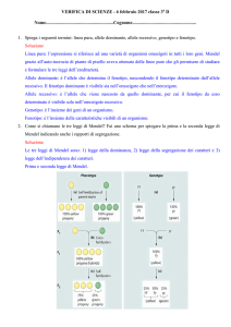 Verifica di scienze 3 a D