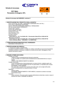 Scheda di sicur…