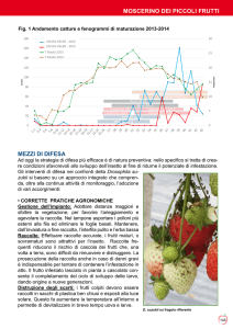 da, oltre alla continua attività di monitoraggio, l`adozione di vari