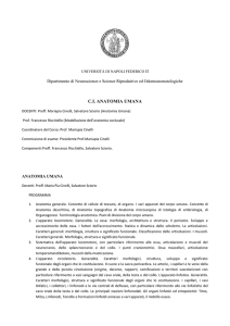 C.I. ANATOMIA UMANA