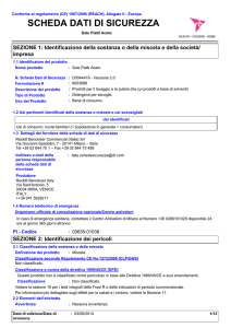 Scheda di sicurezza