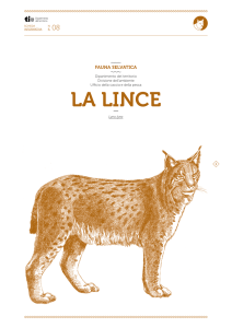 La LInCE - Repubblica e Cantone Ticino
