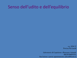 Diapositiva 1 - Progetto e