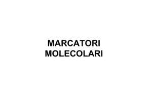 Lezione marcatori molecolari e sintenia - e