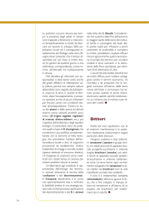 ALSIA_Monografia 08 INSETTI.indd