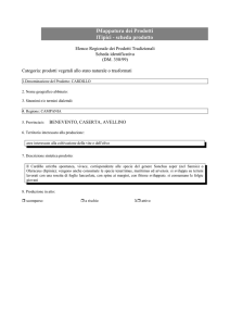 Cardillo - regione campania