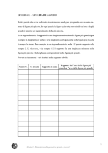 SCHEDA E – SCHEDA DI LAVORO