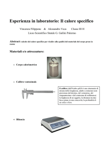 Calore Specifico-1 - NonSoloFisica.altervista.org