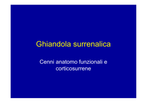 Ghiandola surrenalica