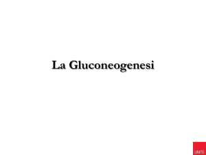 Biochimica del Metabolismo Prof.ssa Natalia Battista