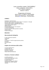 Anno scolastico: 2012/2013 Classe: II sez.G