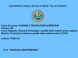 PISELLO
