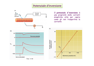16. Potenziale dinversione, Integrazione sinaptica - e